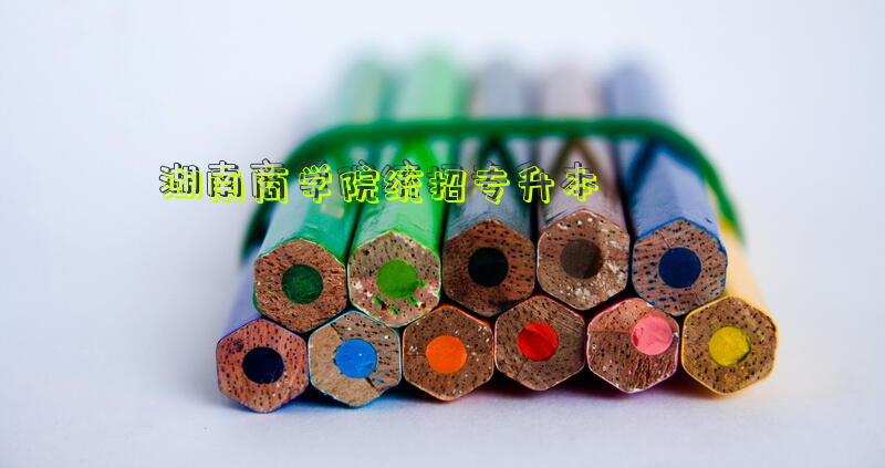 湖南商学院统招专升本