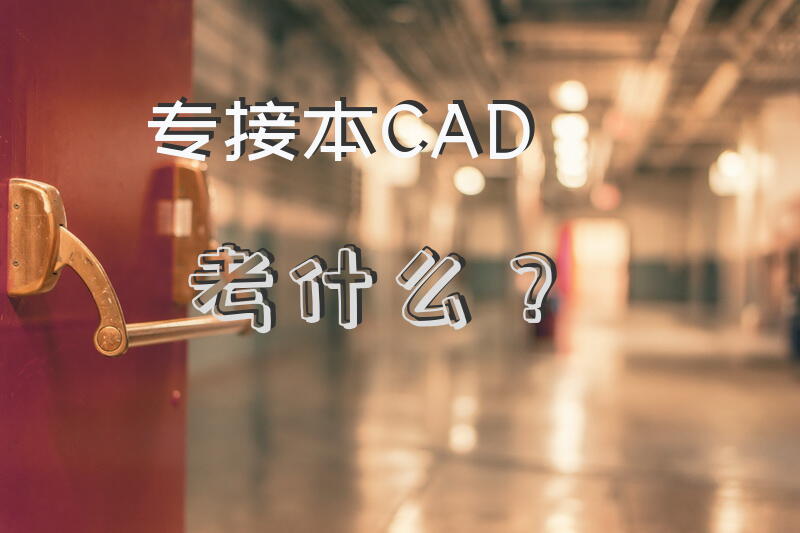 专接本CAD考什么？