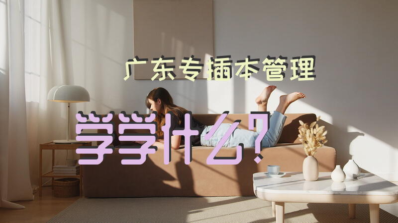 广东专插本管理学学什么？
