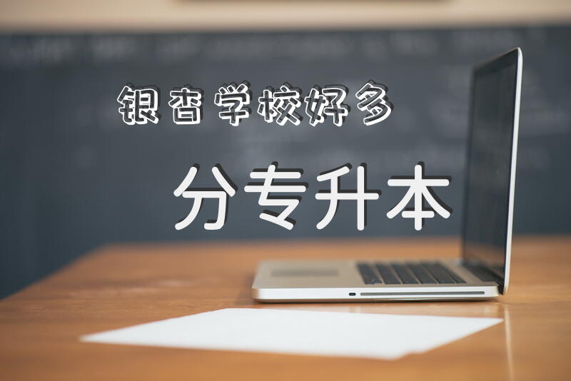 银杏学校好多分专升本