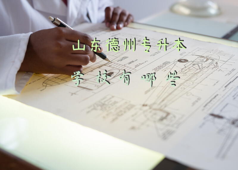 山东德州专升本学校有哪些