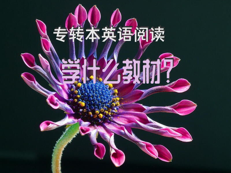 专转本英语阅读学什么教材？
