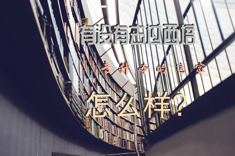 有没有去过西培专升本的，这家怎么样？