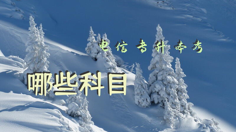 电信专升本考哪些科目？
