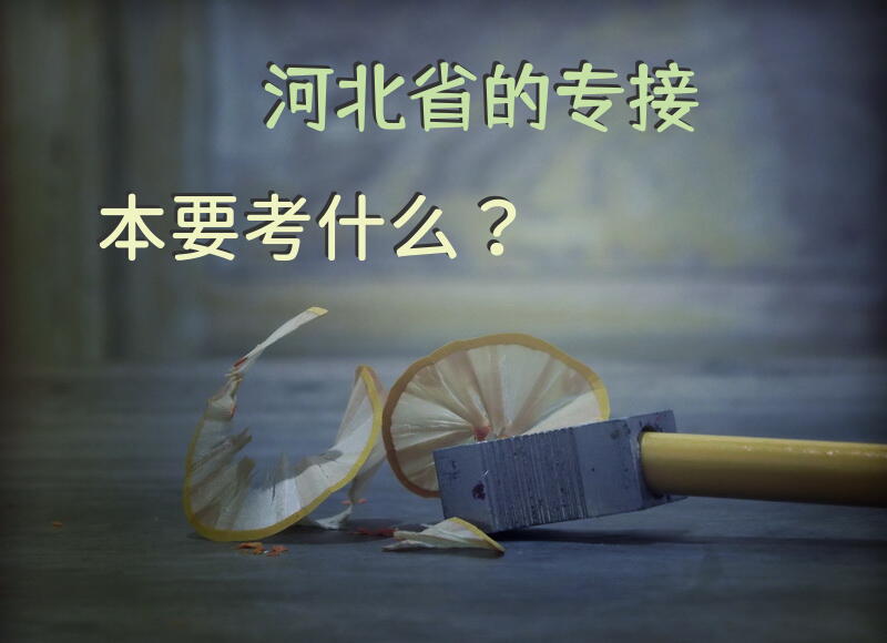 河北省的专接本要考什么？