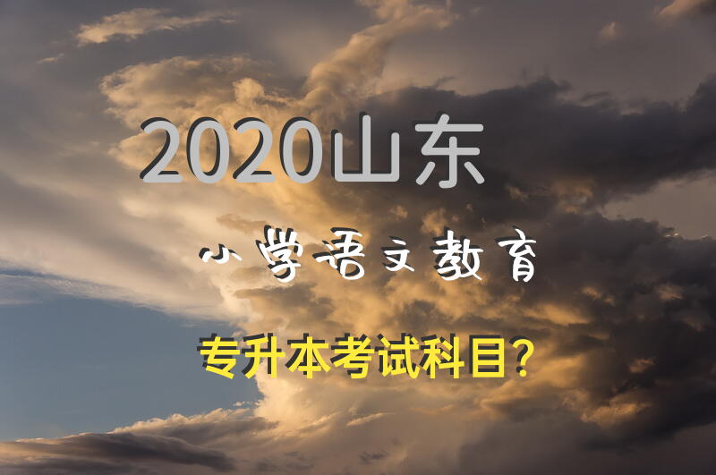 2020山东小学语文教育专升本考试科目？