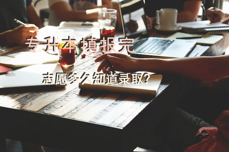 专升本填报完志愿多久知道录取？