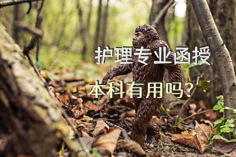 护理专业函授本科有用吗？