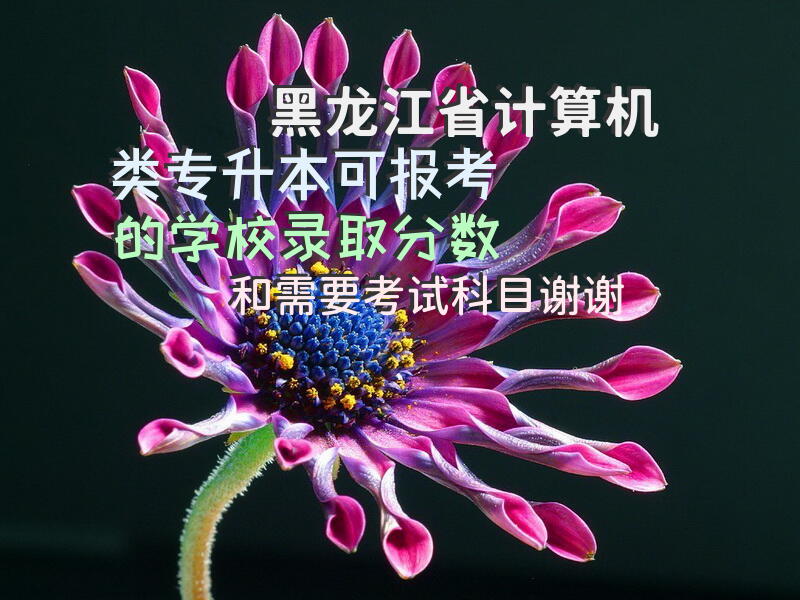 黑龙江省计算机类专升本可报考的学校，录取分数和需要考试科目谢谢