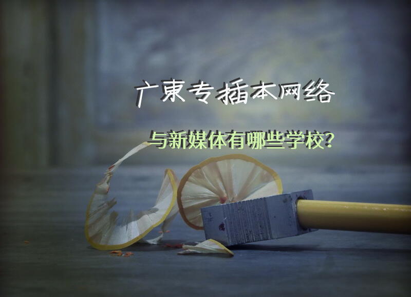 广东专插本网络与新媒体有哪些学校？