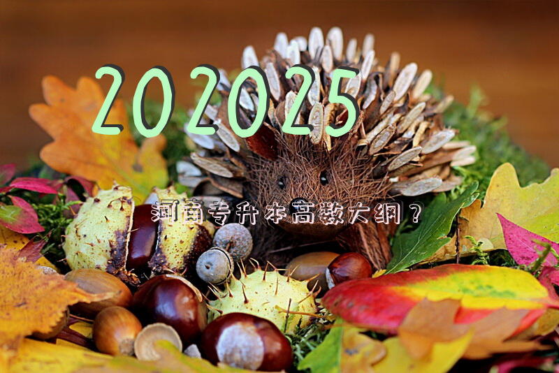 202025河南专升本高数大纲？