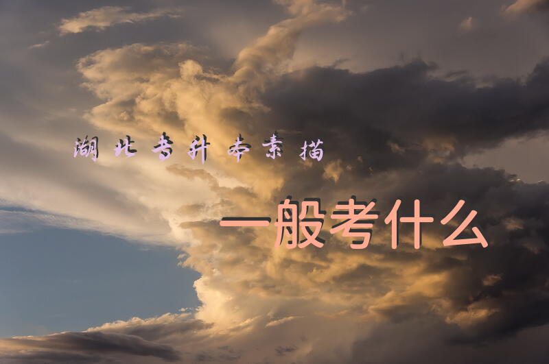 湖北专升本素描一般考什么