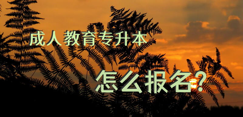 成人教育专升本怎么报名？