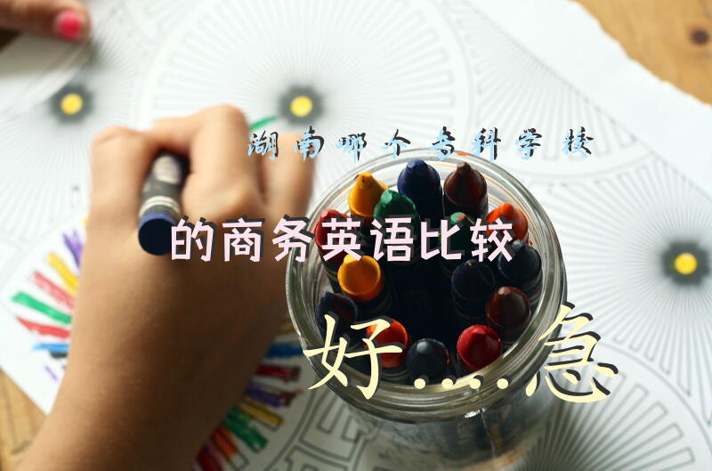湖南哪个专科学校的商务英语比较好....急