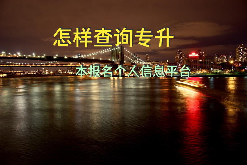 怎样查询专升本报名个人信息平台？