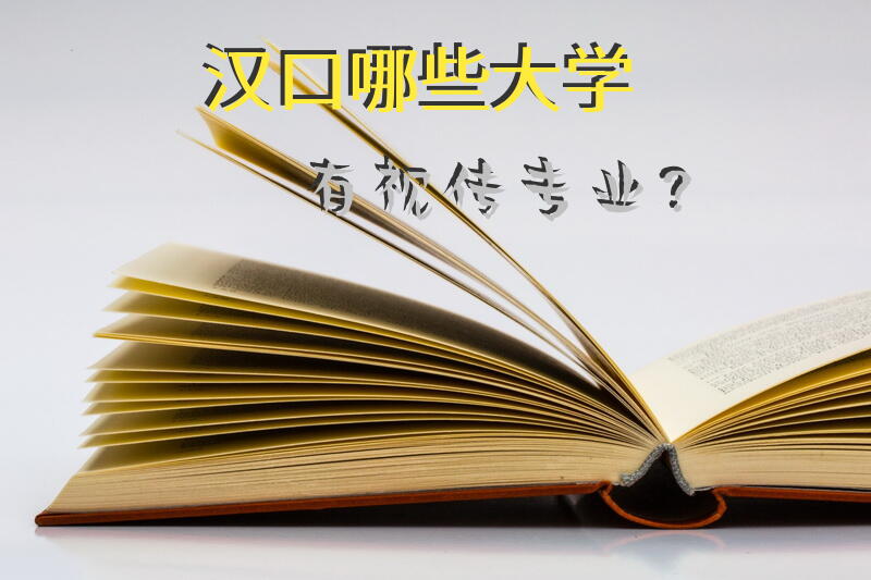 汉口哪些大学有视传专业？