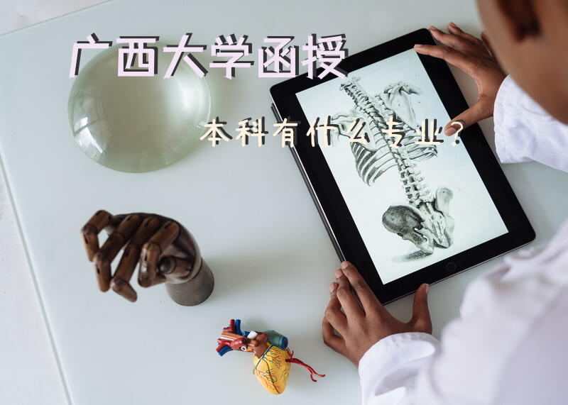 广西大学函授本科有什么专业？