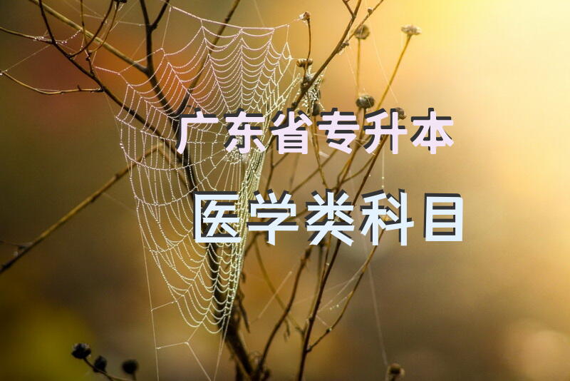 广东省专升本医学类科目
