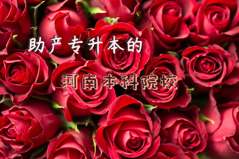 助产专升本的河南本科院校