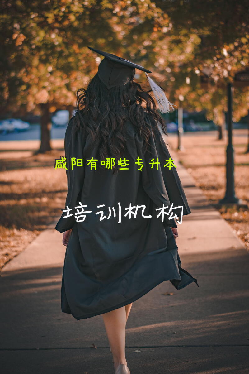 咸阳有哪些专升本培训机构
