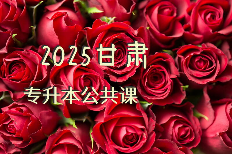 2025甘肃专升本公共课