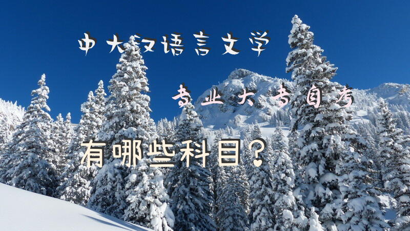 中大汉语言文学专业大专自考有哪些科目？