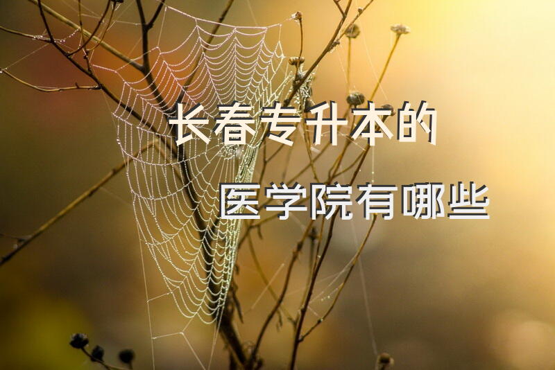 长春专升本的医学院有哪些