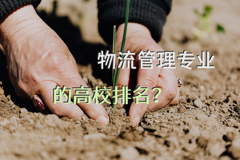 物流管理专业的高校排名？
