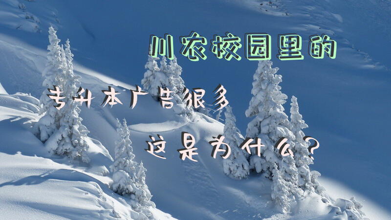 川农校园里的专升本广告很多，这是为什么？
