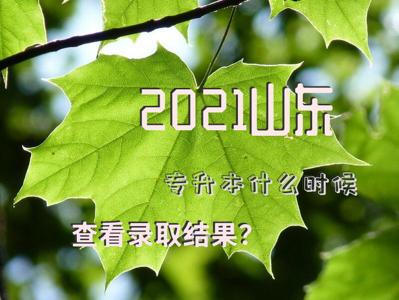 2021山东专升本什么时候查看录取结果？
