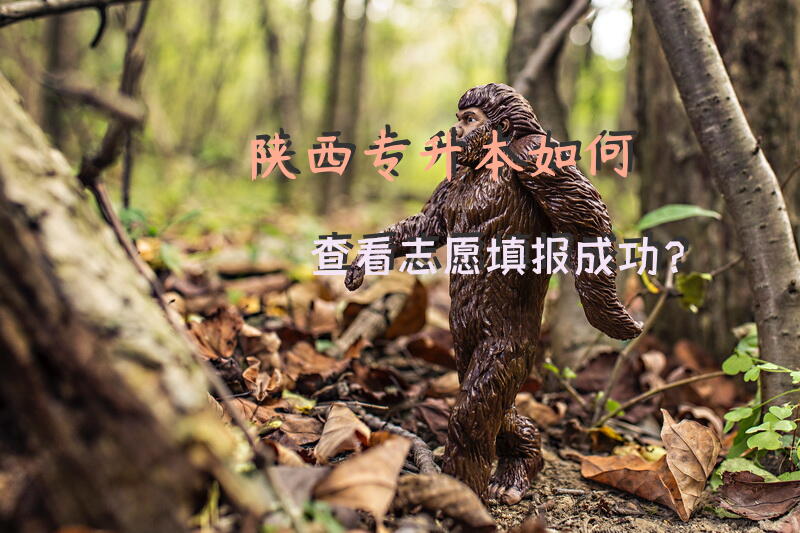 陕西专升本如何查看志愿填报成功？