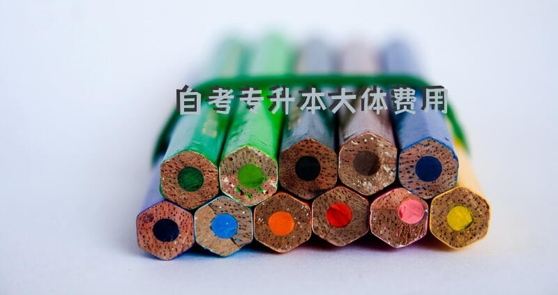 自考专升本大体费用