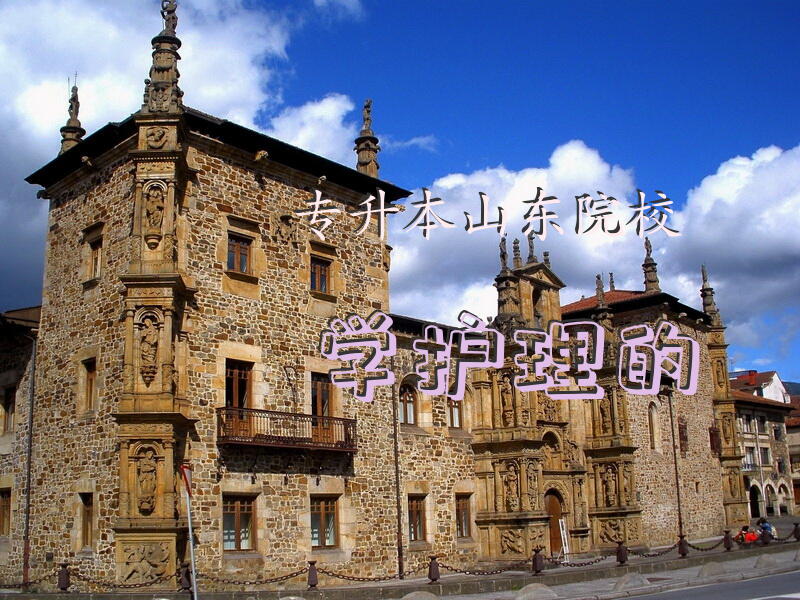 专升本山东院校学护理的