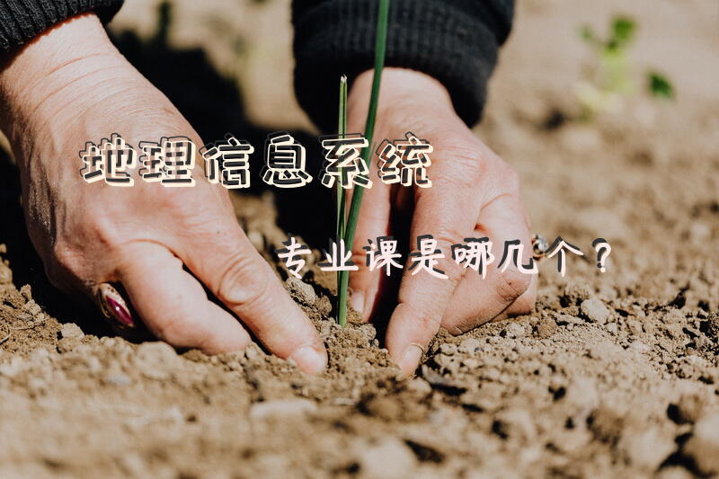 地理信息系统专业课是哪几个？
