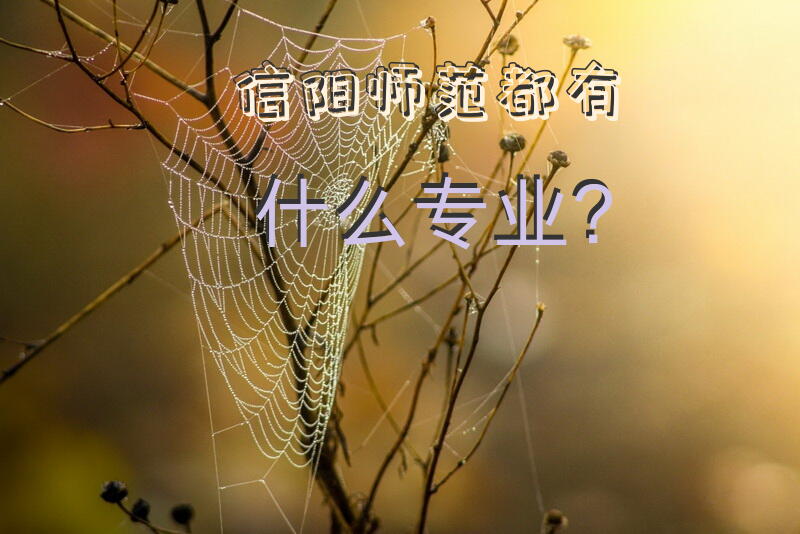 信阳师范都有什么专业？