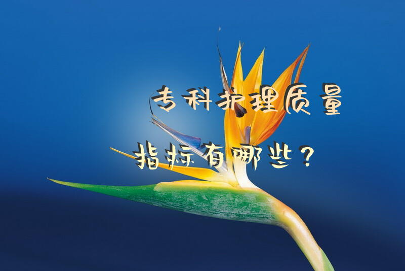 专科护理质量指标有哪些？