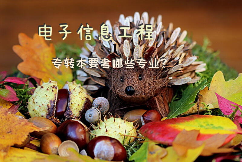 电子信息工程专转本要考哪些专业？