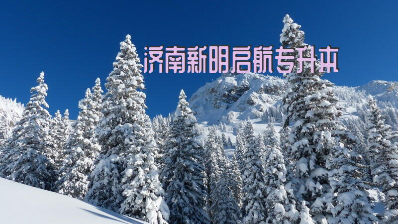 济南新明启航专升本