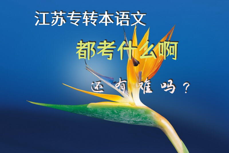 江苏专转本语文都考什么啊！还有难吗？