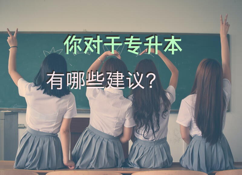 你对于专升本有哪些建议？