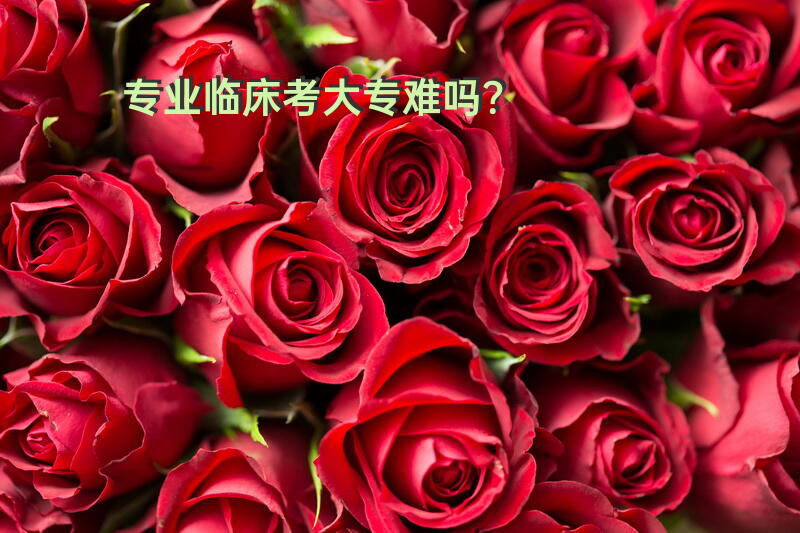 专业临床考大专难吗？