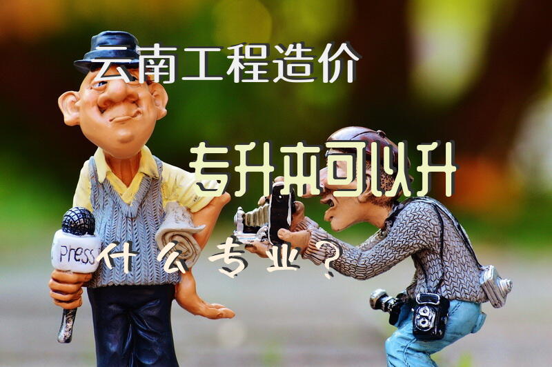 云南工程造价专升本可以升什么专业？