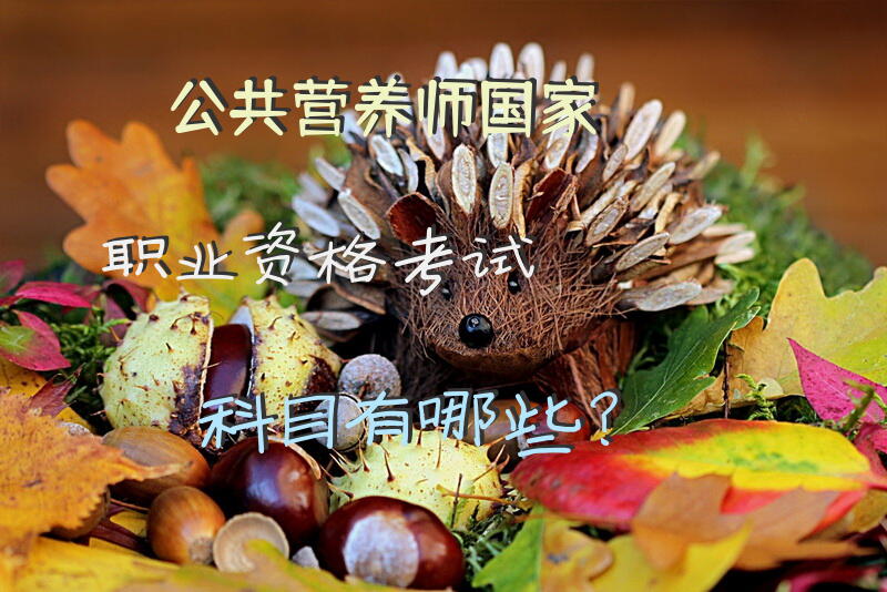 公共营养师国家职业资格考试科目有哪些？
