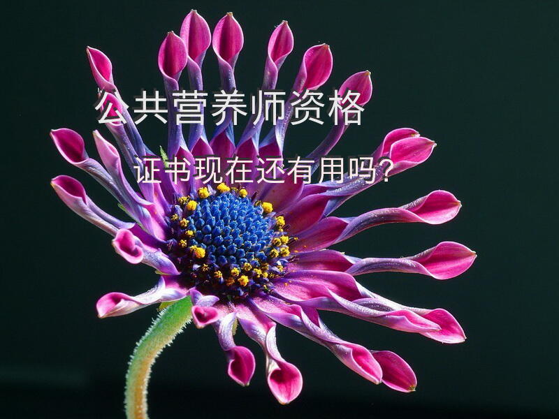 公共营养师资格证书现在还有用吗？