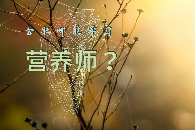 合肥哪能学习营养师？