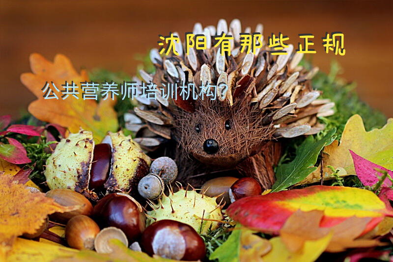 沈阳有那些正规公共营养师培训机构？