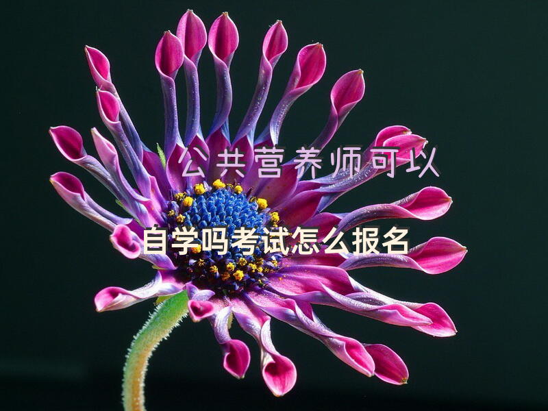 公共营养师可以自学吗考试怎么报名