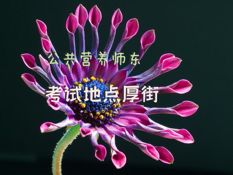 公共营养师技能试卷河南省