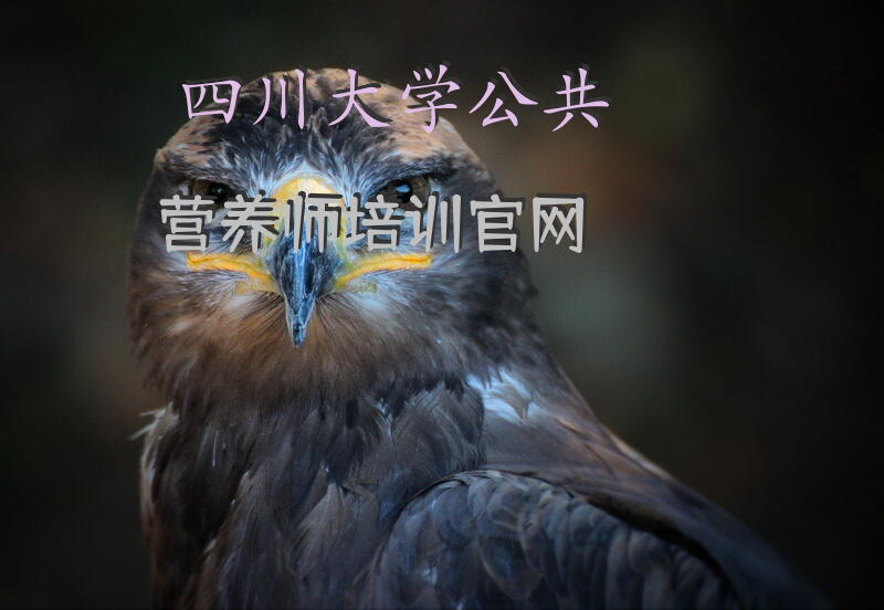 四川大学公共营养师培训官网