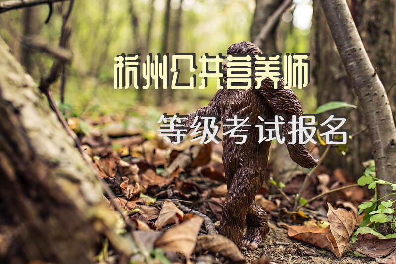 驻马店公共营养师报考